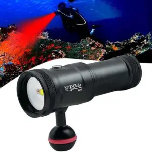 Black diving torch and vivid coral reef